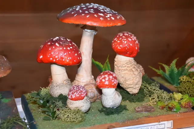 Willkommen bei den Pilzen! Mit einer Pilz-Wanderung und einem Ausstellungsbesuch „Willkommen bei den Pilzen“ verabschiedete sich das Museum in Altenburg für diese Saison. | Foto: Zinterhof
