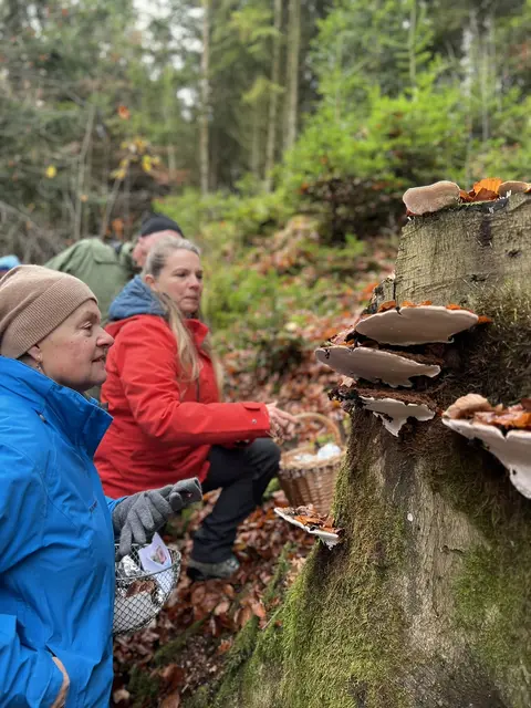 Willkommen bei den Pilzen! Mit einer Pilz-Wanderung und einem Ausstellungsbesuch „Willkommen bei den Pilzen“ verabschiedete sich das Museum in Altenburg für diese Saison. | Foto: Martin Luger