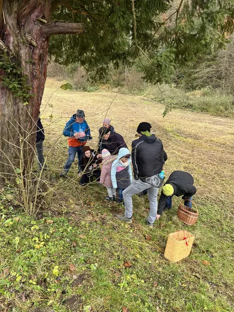 Willkommen bei den Pilzen! Mit einer Pilz-Wanderung und einem Ausstellungsbesuch „Willkommen bei den Pilzen“ verabschiedete sich das Museum in Altenburg für diese Saison. | Foto: Martin Luger