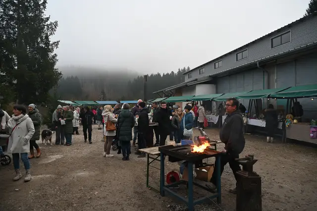 Foto: Wilfried Fischer