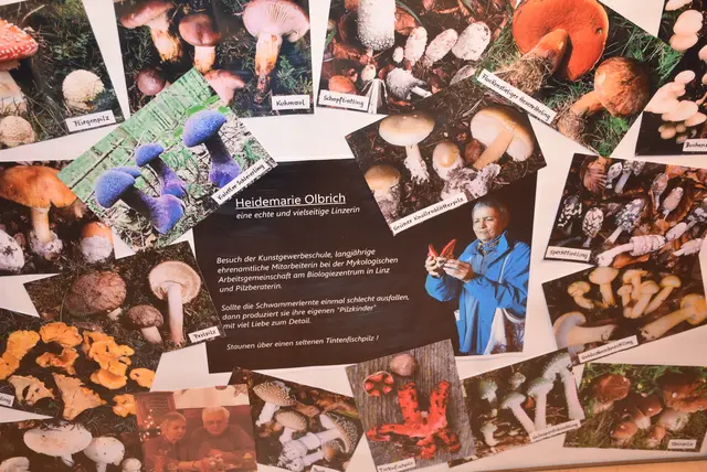 Willkommen bei den Pilzen! Mit einer Pilz-Wanderung und einem Ausstellungsbesuch „Willkommen bei den Pilzen“ verabschiedete sich das Museum in Altenburg für diese Saison. | Foto: Zinterhof