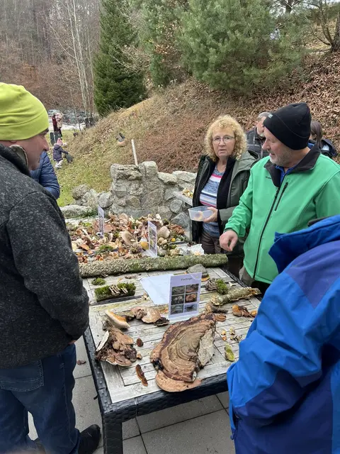 Willkommen bei den Pilzen! Mit einer Pilz-Wanderung und einem Ausstellungsbesuch „Willkommen bei den Pilzen“ verabschiedete sich das Museum in Altenburg für diese Saison. | Foto: Martin Luger