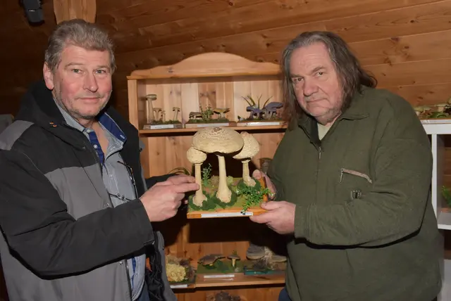 Willkommen bei den Pilzen! Mit einer Pilz-Wanderung und einem Ausstellungsbesuch „Willkommen bei den Pilzen“ verabschiedete sich das Museum in Altenburg für diese Saison. | Foto: Zinterhof