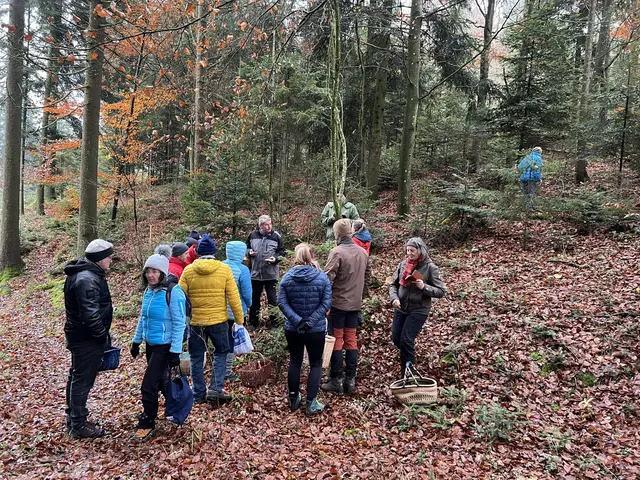 Willkommen bei den Pilzen! Mit einer Pilz-Wanderung und einem Ausstellungsbesuch „Willkommen bei den Pilzen“ verabschiedete sich das Museum in Altenburg für diese Saison. | Foto: Martin Luger