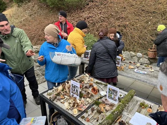 Willkommen bei den Pilzen! Mit einer Pilz-Wanderung und einem Ausstellungsbesuch „Willkommen bei den Pilzen“ verabschiedete sich das Museum in Altenburg für diese Saison. | Foto: Martin Luger