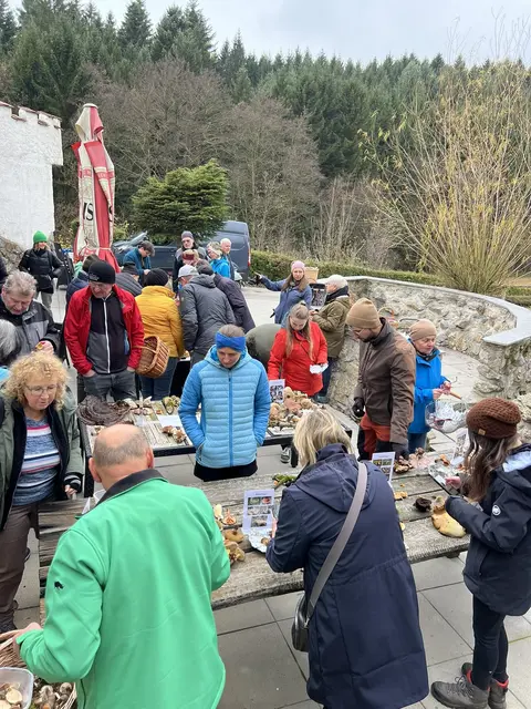 Willkommen bei den Pilzen! Mit einer Pilz-Wanderung und einem Ausstellungsbesuch „Willkommen bei den Pilzen“ verabschiedete sich das Museum in Altenburg für diese Saison. | Foto: Martin Luger