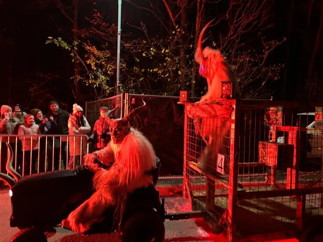 Foto: zVg Cornelia Strobl