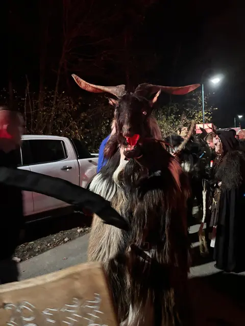 Foto: zVg Cornelia Strobl