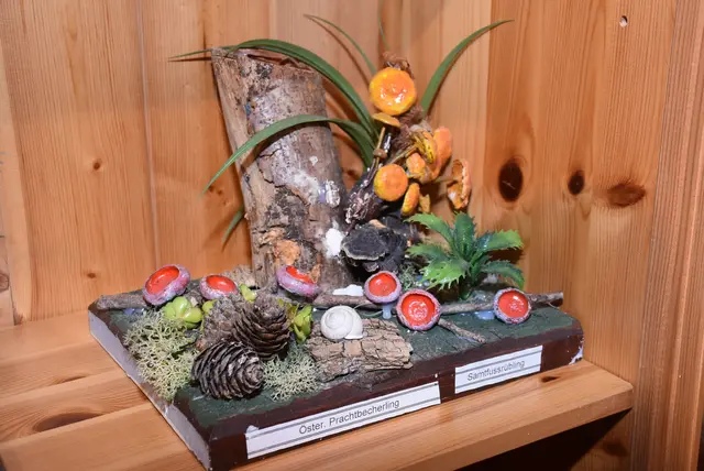 Willkommen bei den Pilzen! Mit einer Pilz-Wanderung und einem Ausstellungsbesuch „Willkommen bei den Pilzen“ verabschiedete sich das Museum in Altenburg für diese Saison. | Foto: Zinterhof