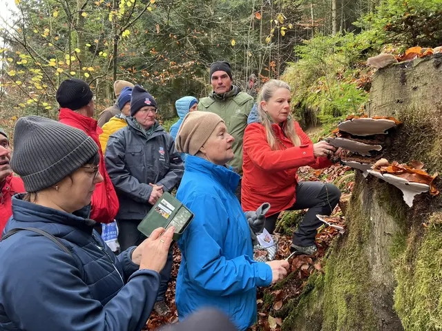 Willkommen bei den Pilzen! Mit einer Pilz-Wanderung und einem Ausstellungsbesuch „Willkommen bei den Pilzen“ verabschiedete sich das Museum in Altenburg für diese Saison. | Foto: Martin Luger