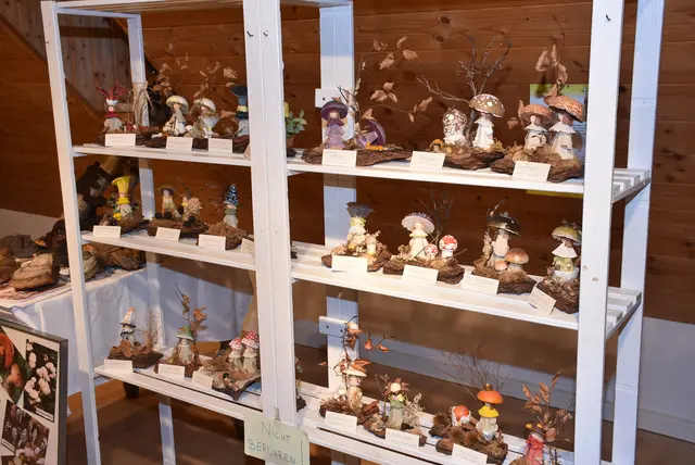 Willkommen bei den Pilzen! Mit einer Pilz-Wanderung und einem Ausstellungsbesuch „Willkommen bei den Pilzen“ verabschiedete sich das Museum in Altenburg für diese Saison. | Foto: Zinterhof