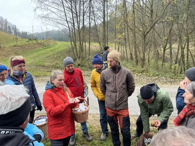 Willkommen bei den Pilzen! Mit einer Pilz-Wanderung und einem Ausstellungsbesuch „Willkommen bei den Pilzen“ verabschiedete sich das Museum in Altenburg für diese Saison. | Foto: Martin Luger