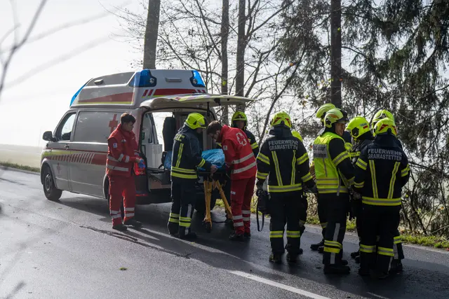 Foto: TEAM FOTOKERSCHI / MARTIN SCHARINGER