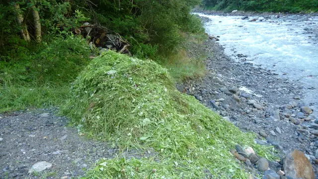 Grasschnitt in Falbeson am Ruetzbach | Foto: TBW Est. Stubai