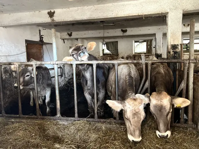 Foto: Elisabeth Egle