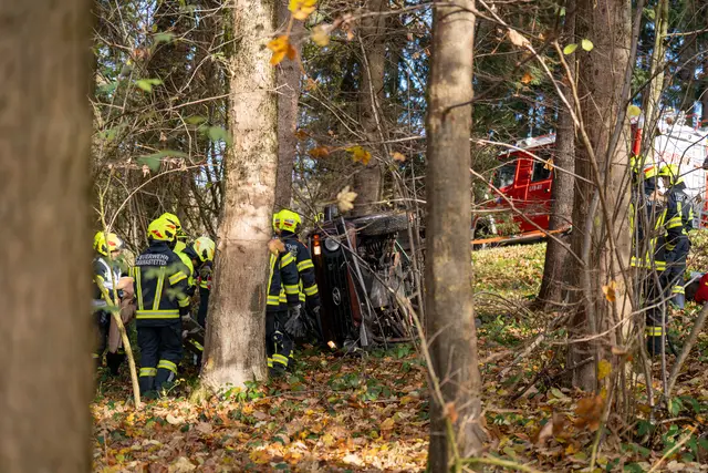 Foto: TEAM FOTOKERSCHI / MARTIN SCHARINGER