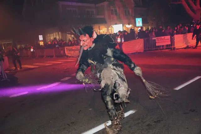 Foto: Josef Strohmeier