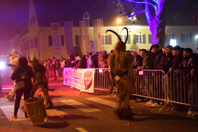 Foto: Josef Strohmeier