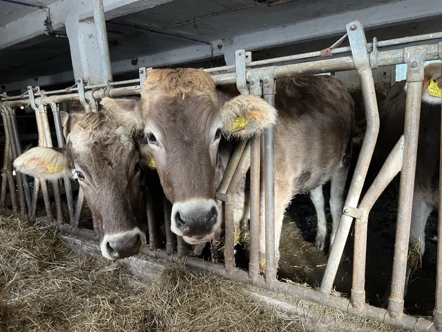 Foto: Elisabeth Egle