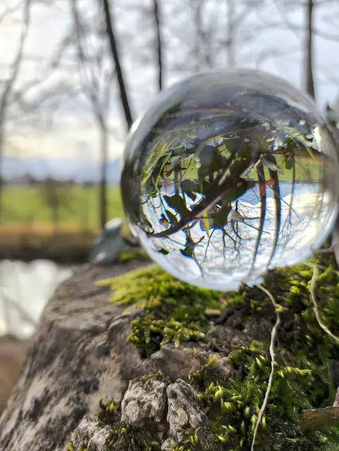 Mit Glaskugel am Mühlbach  | Foto: Martina Laserer 