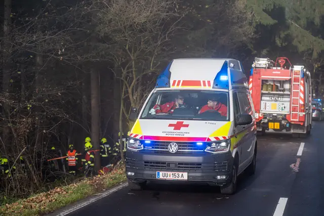 Foto: TEAM FOTOKERSCHI / MARTIN SCHARINGER