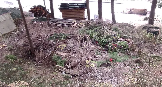 Balkonblumen im Wald oberhalb Krößbach neben anderem Müll | Foto: TBW Est. Stubai