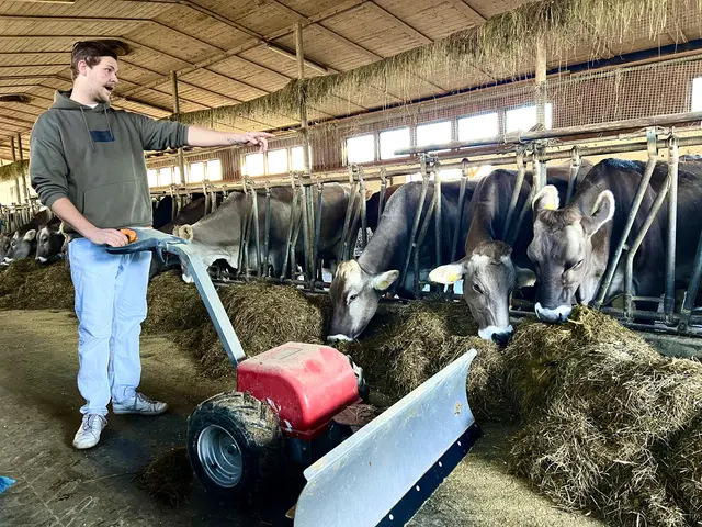 Martin Lanner erklärt den großzügigen Laufstall mit seinen vielen Liegebuchten drinnen und draußen.  | Foto: Elisabeth Egle