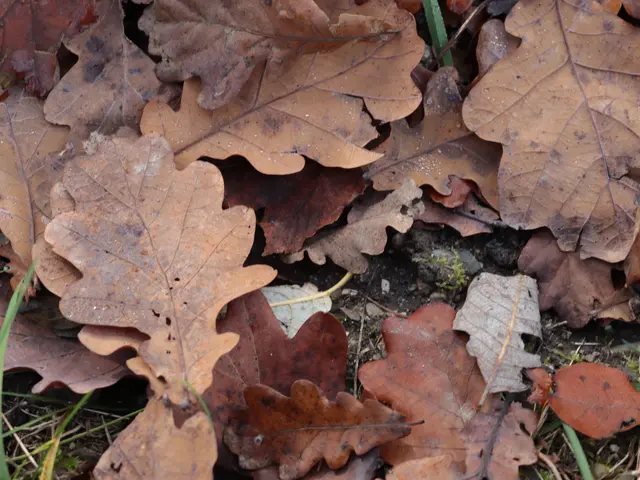 Raschel raschel  | Foto: Martina Laserer 