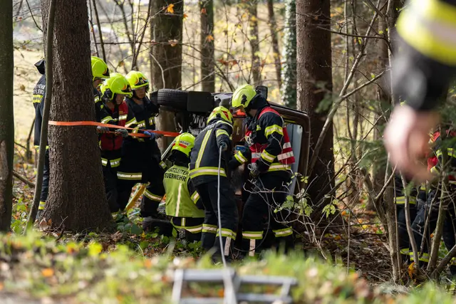 Foto: TEAM FOTOKERSCHI / MARTIN SCHARINGER