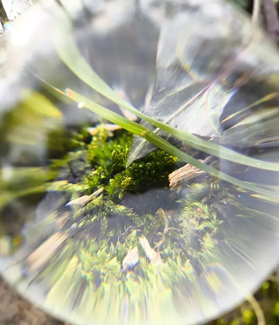 Glaskugel Fotografie  | Foto: Martina Laserer 