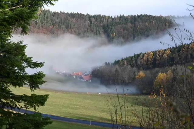 Nebel auch im Payerbachgraben