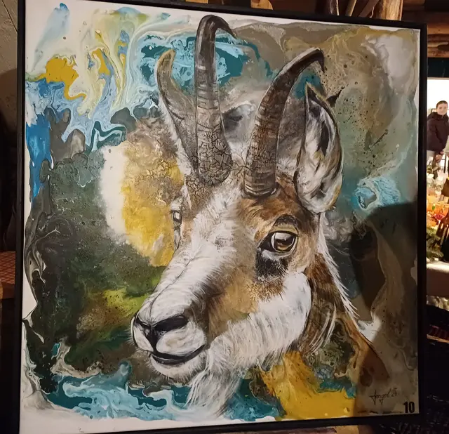 Foto: Monika Hammerl