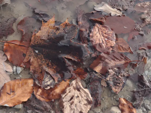 Foto: Martina Laserer 