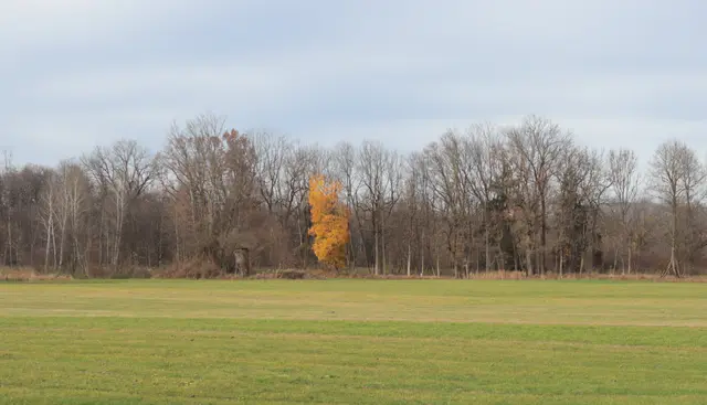 Der Farbklecks | Foto: Martina Laserer 