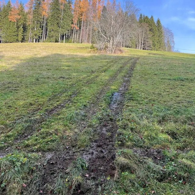 Diese Spuren zeugen jetzt noch von dem Unglück. | Foto: FF der Marktgemeinde Langenwang