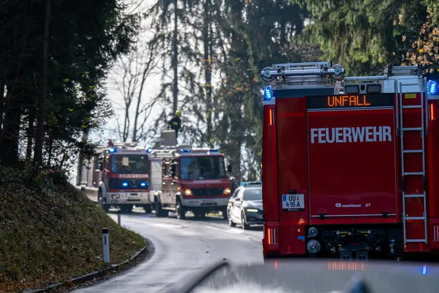 Foto: TEAM FOTOKERSCHI / MARTIN SCHARINGER