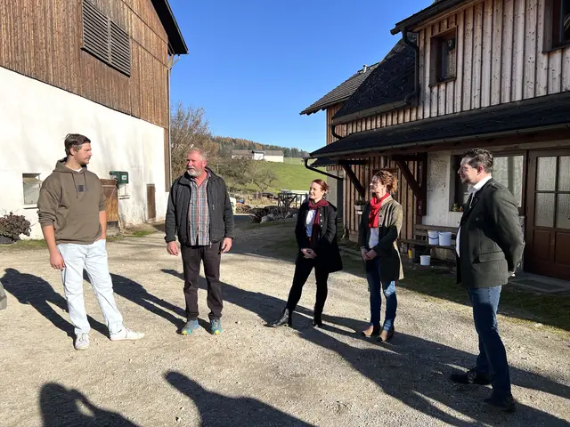 Martin Lanner und Johann Lanner führen den Milchviehbetrieb mit eigener Aufzucht mit der Haltungsform Stufe 4.  | Foto: Elisabeth Egle