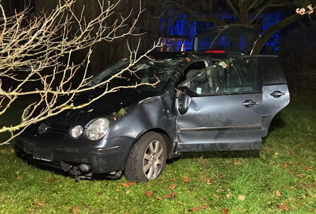 Verkehrsunfall bei Köchling, Lenkerin konnte sich selbst aus dem Fahrzeug befreien. | Foto: DOKU-NÖ