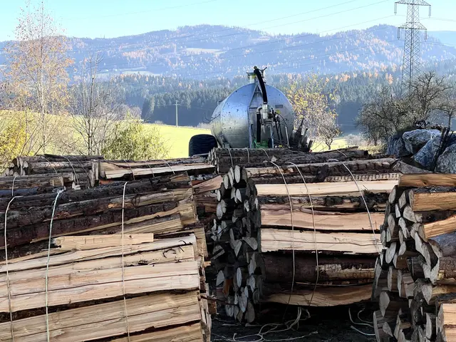 Foto: Elisabeth Egle