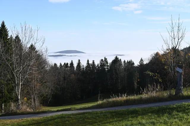 Blick Richtung Gloggnitz