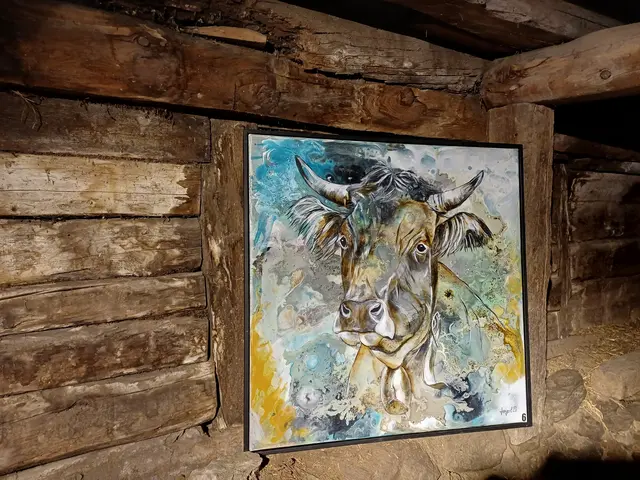 Foto: Monika Hammerl