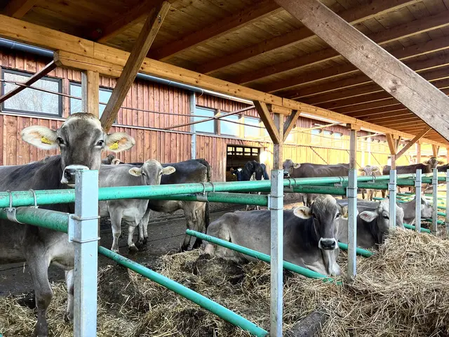 Foto: Elisabeth Egle