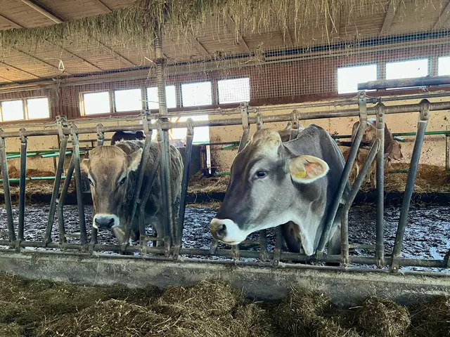 Foto: Elisabeth Egle