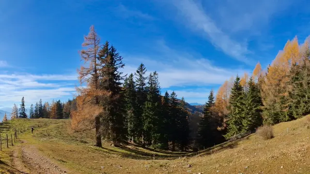 ...am Weg zur Tyrnaueralm 