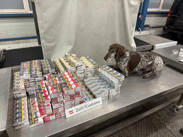 Beschlagnahmt wurden mehr als 390.000 geschmuggelte Zigaretten. | Foto: Bundesministerium für Finanzen/Flickr