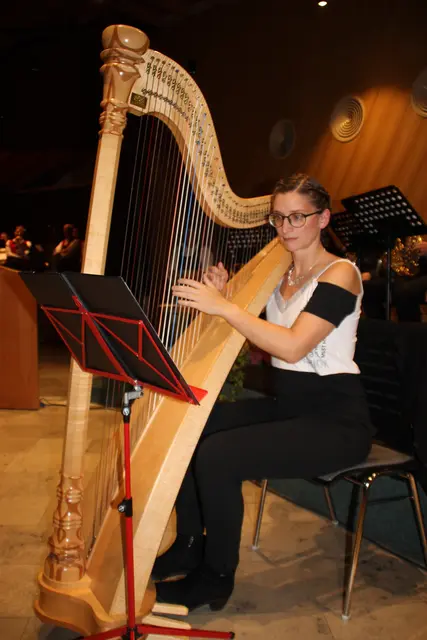 Veronika Rafelsberger entlockte ihrer Harfe  wunderschöne Töne und Melodien | Foto: Manfred Jordan