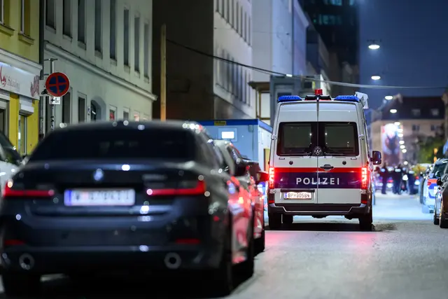 Foto: MAX SLOVENCIK / APA / picturedesk.com