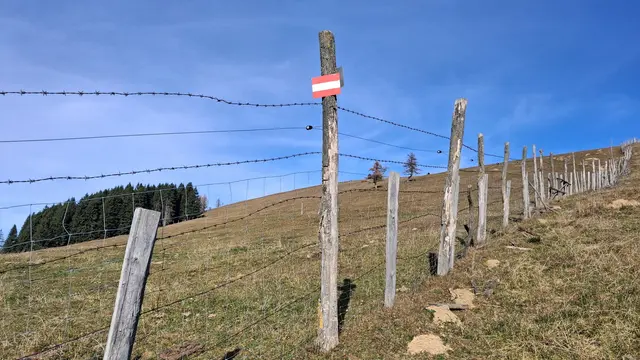 ....endlose Zäune entlang der Wege.