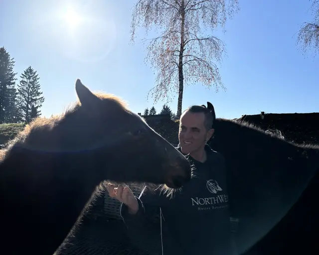 Mit dem Alter von drei Monaten beginnt dann die leichte Bodenarbeit, bevor die Nachwuchspferde mit drei Jahren leicht angeritten werden.   | Foto: MeinBezirk/ Leonie Herrmann