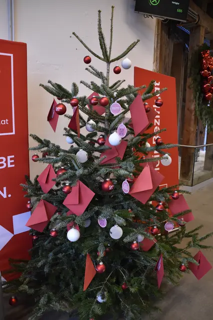 Am Wunschbaum von MeinBezirk Salzburg und der Caritas Salzburg werden Herzenswünsche wahr.  | Foto: Theresa Vogl